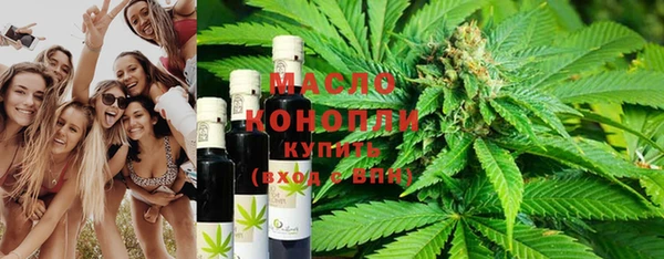 молекула духа Богородск